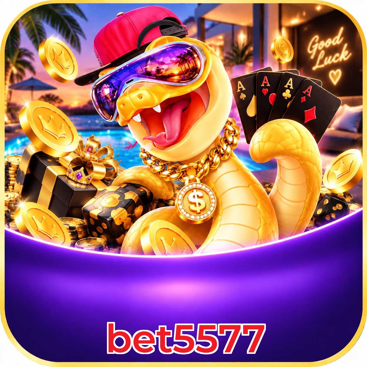 bet5577 Live Casino Overview
