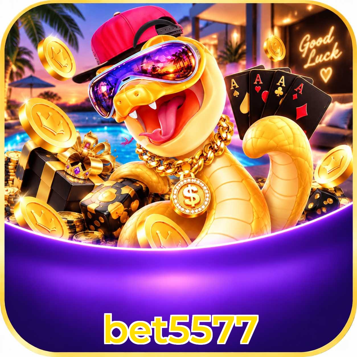 bet5577 Interface